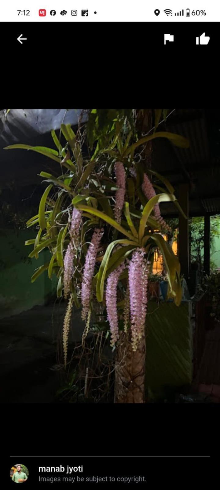 Orchid Park Homestay Sivasagar ภายนอก รูปภาพ